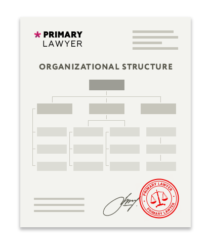 Organizational Structure Chart by Lawyer